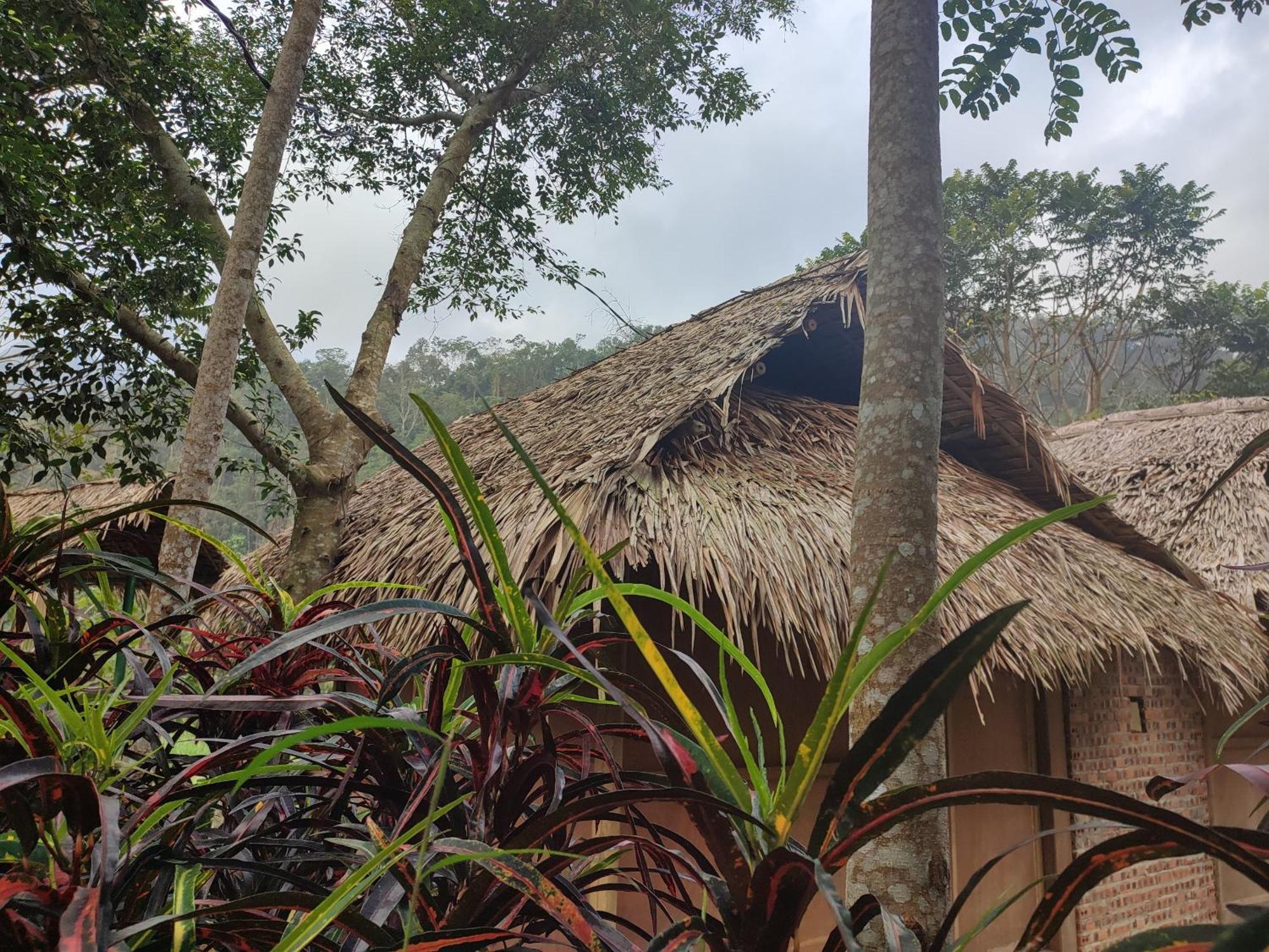 Pu Luong Homestay & Tours Huong Ba Thuoc Εξωτερικό φωτογραφία