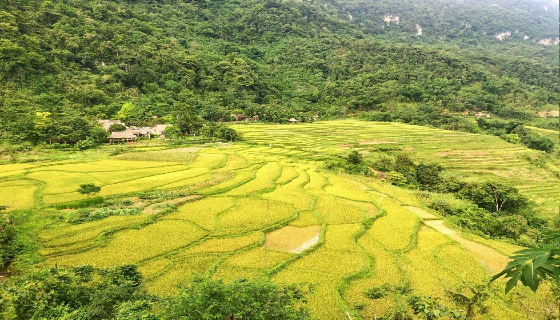 Pu Luong Homestay & Tours Huong Ba Thuoc Εξωτερικό φωτογραφία